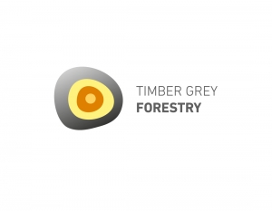 timber grey forestry logotipas