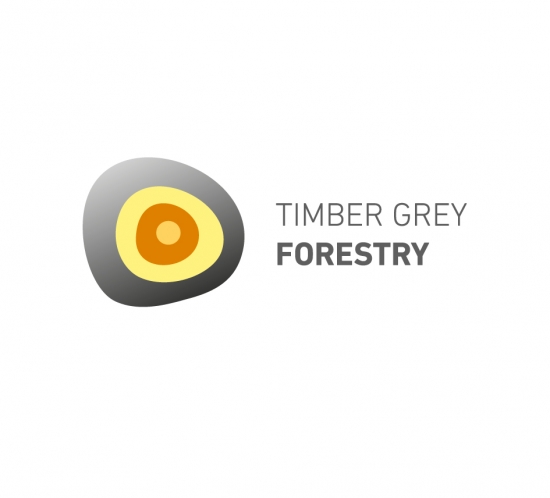 timber grey forestry logotipas